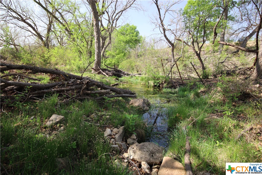 TBD FM 2414 , Evant, TX, 76525 | 469355 | Realty Texas LLC