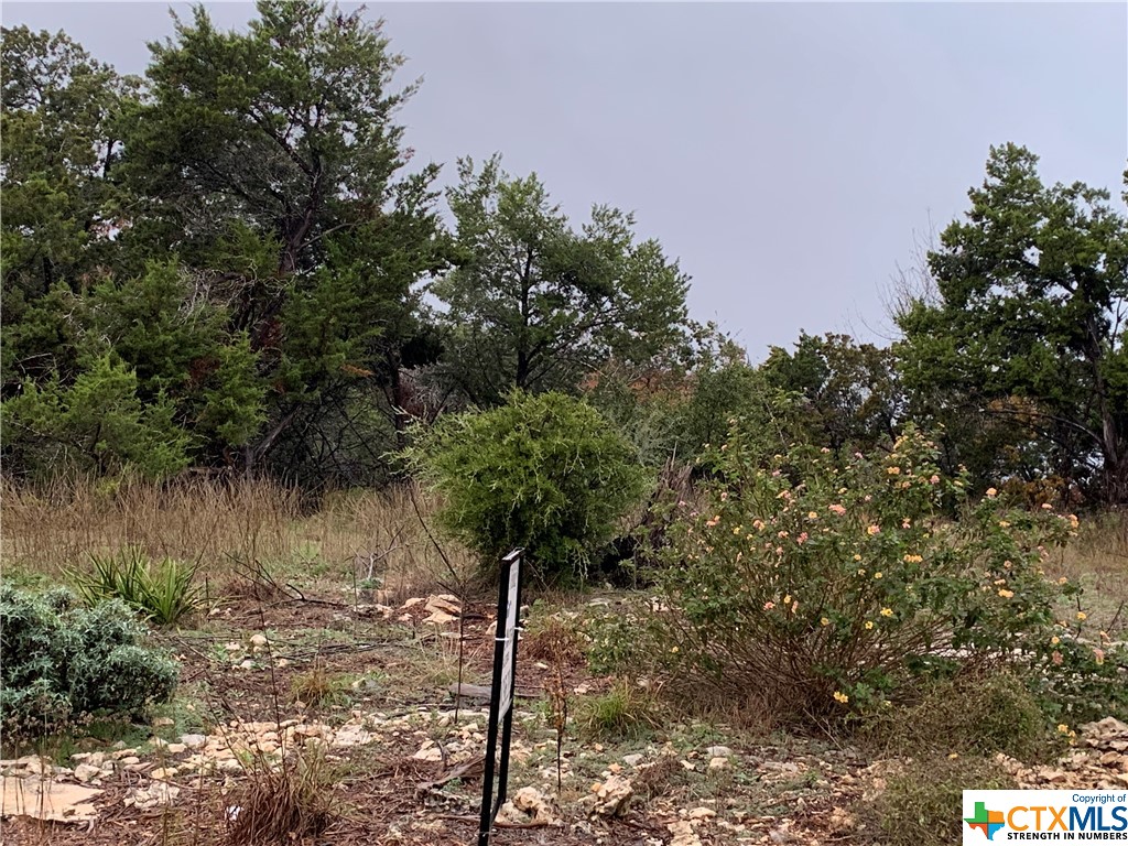 729 Canyon Bend , Canyon Lake, TX, 78133 | 469758 | Realty Texas LLC
