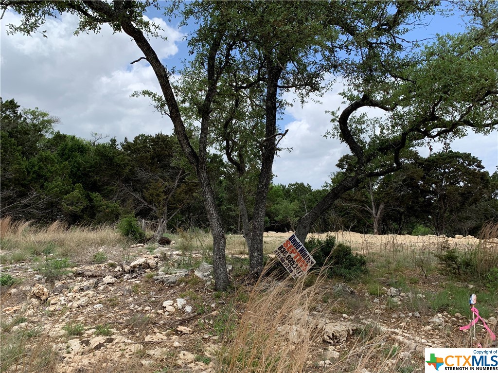 729 Canyon Bend , Canyon Lake, TX, 78133 | 469758 | Realty Texas LLC