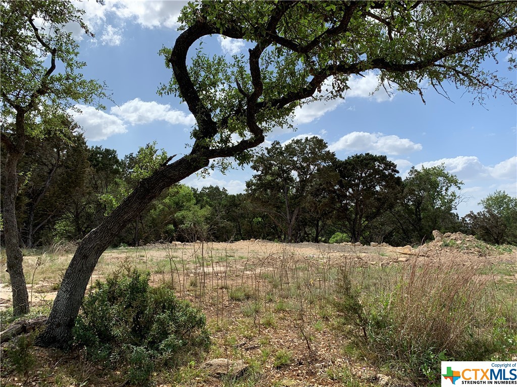 729 Canyon Bend , Canyon Lake, TX, 78133 | 469758 | Realty Texas LLC