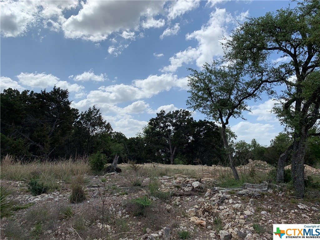 729 Canyon Bend , Canyon Lake, TX, 78133 | 469758 | Realty Texas LLC