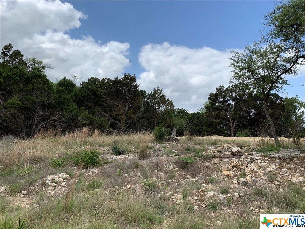 729 Canyon Bend , Canyon Lake, TX, 78133 | 469758 | Realty Texas LLC