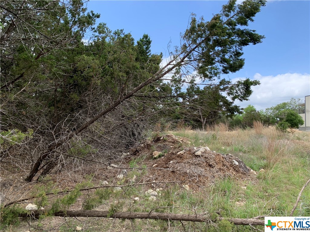729 Canyon Bend , Canyon Lake, TX, 78133 | 469758 | Realty Texas LLC