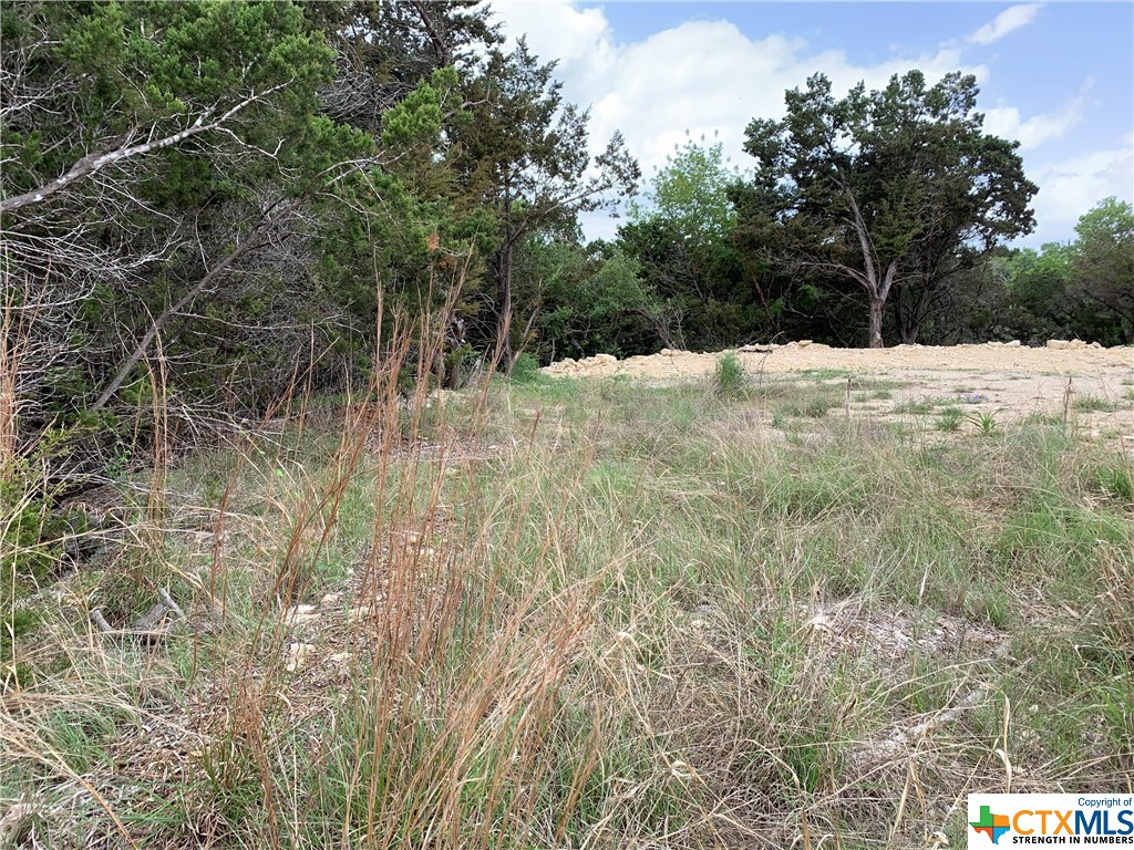 729 Canyon Bend , Canyon Lake, TX, 78133 | 469758 | Realty Texas LLC