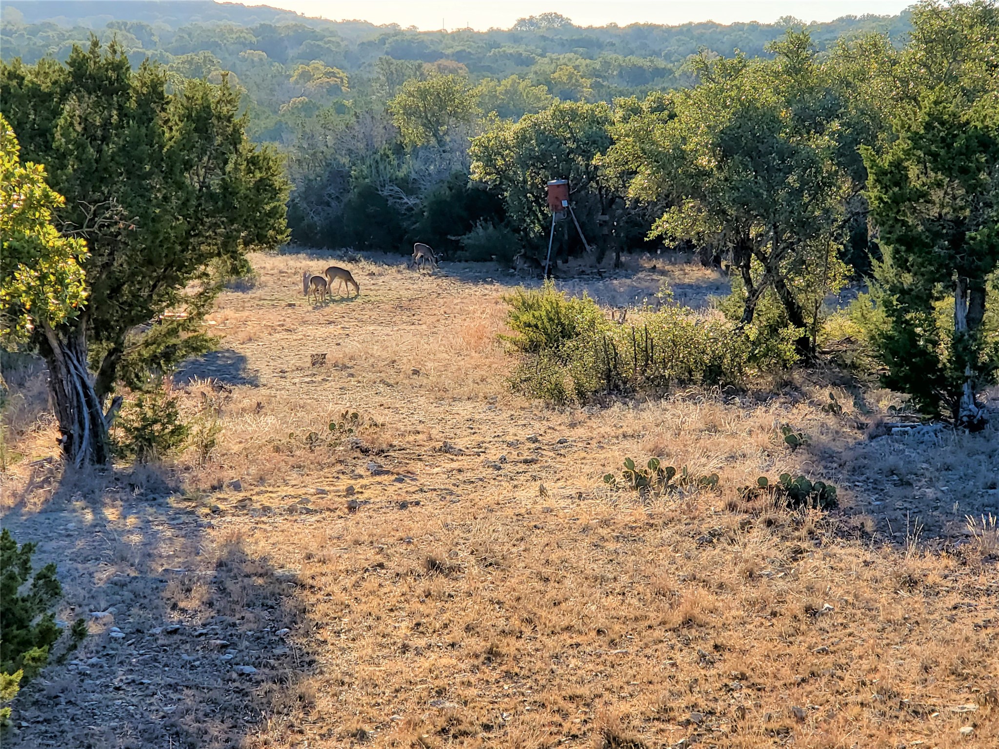 989 Cedar Ridge Road, Junction, TX, 76849 | 54009276 | Realty Texas LLC