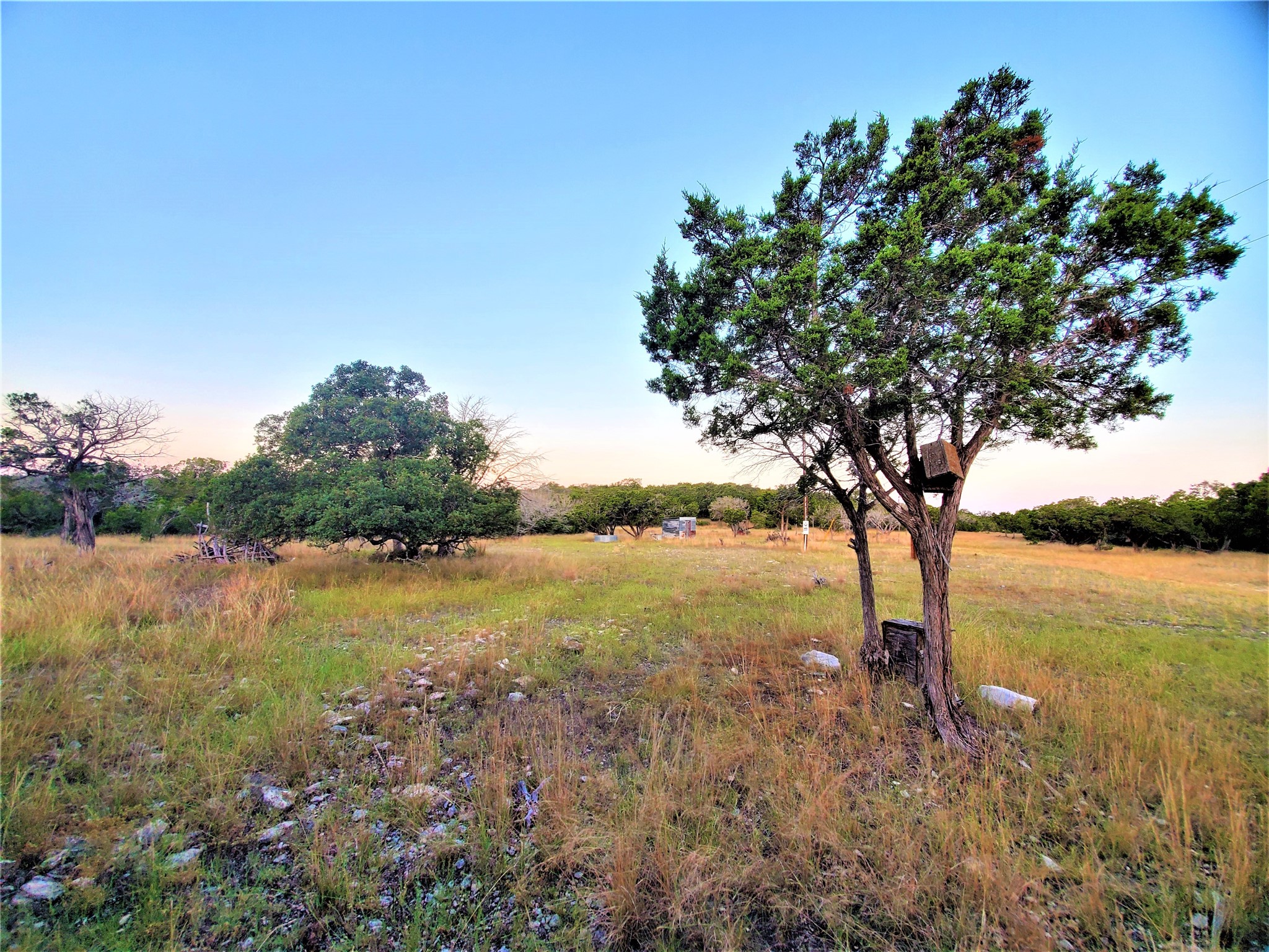 989 Cedar Ridge Road, Junction, TX, 76849 | 54009276 | Realty Texas LLC