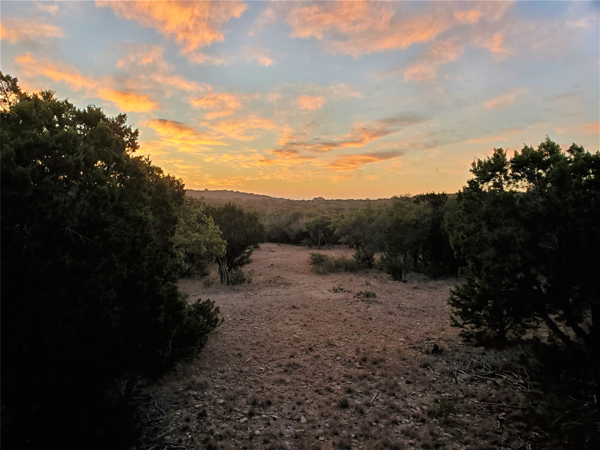 989 Cedar Ridge Road, Junction, TX, 76849 | 54009276 | Realty Texas LLC