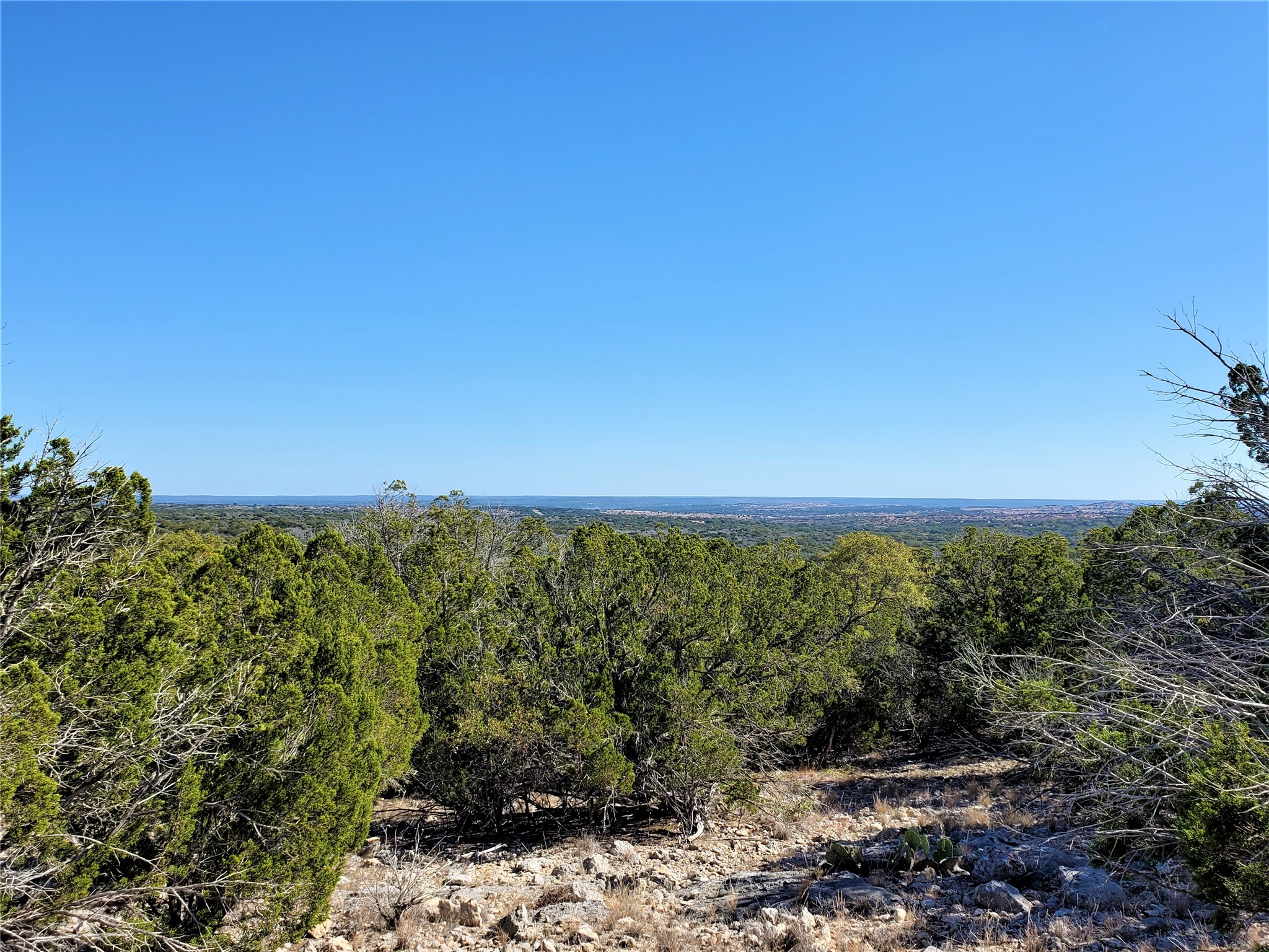 989 Cedar Ridge Road, Junction, TX, 76849 | 54009276 | Realty Texas LLC