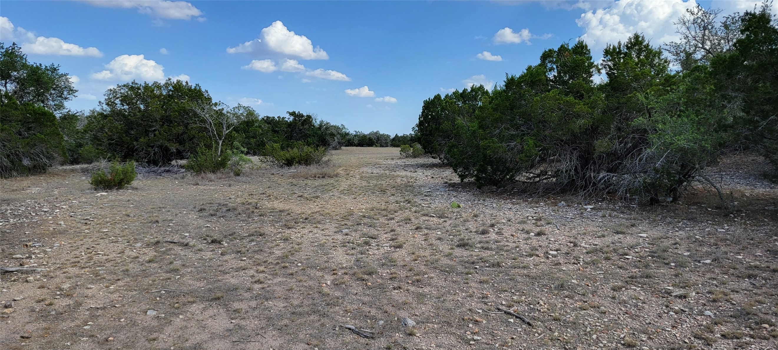 989 Cedar Ridge Road, Junction, TX, 76849 | 54009276 | Realty Texas LLC