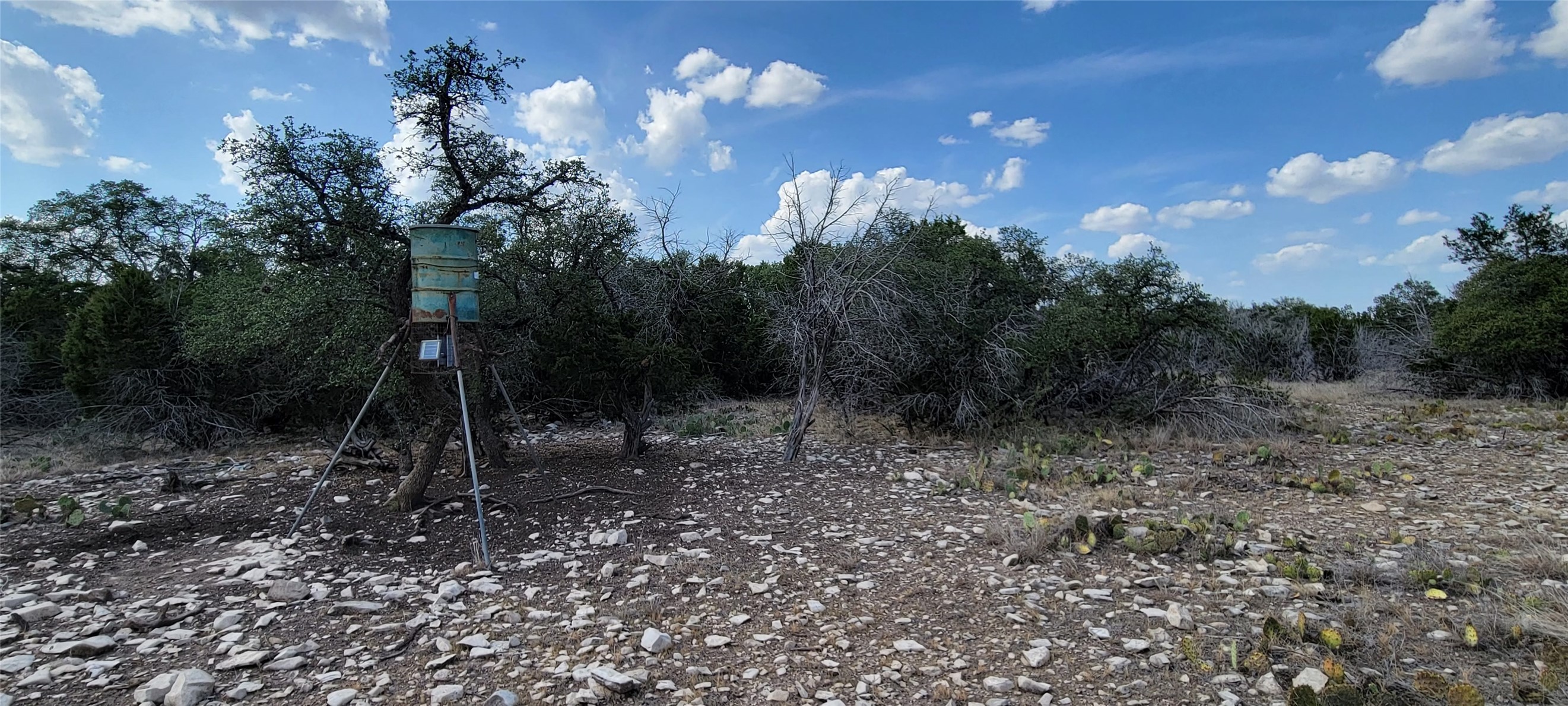 989 Cedar Ridge Road, Junction, TX, 76849 | 54009276 | Realty Texas LLC