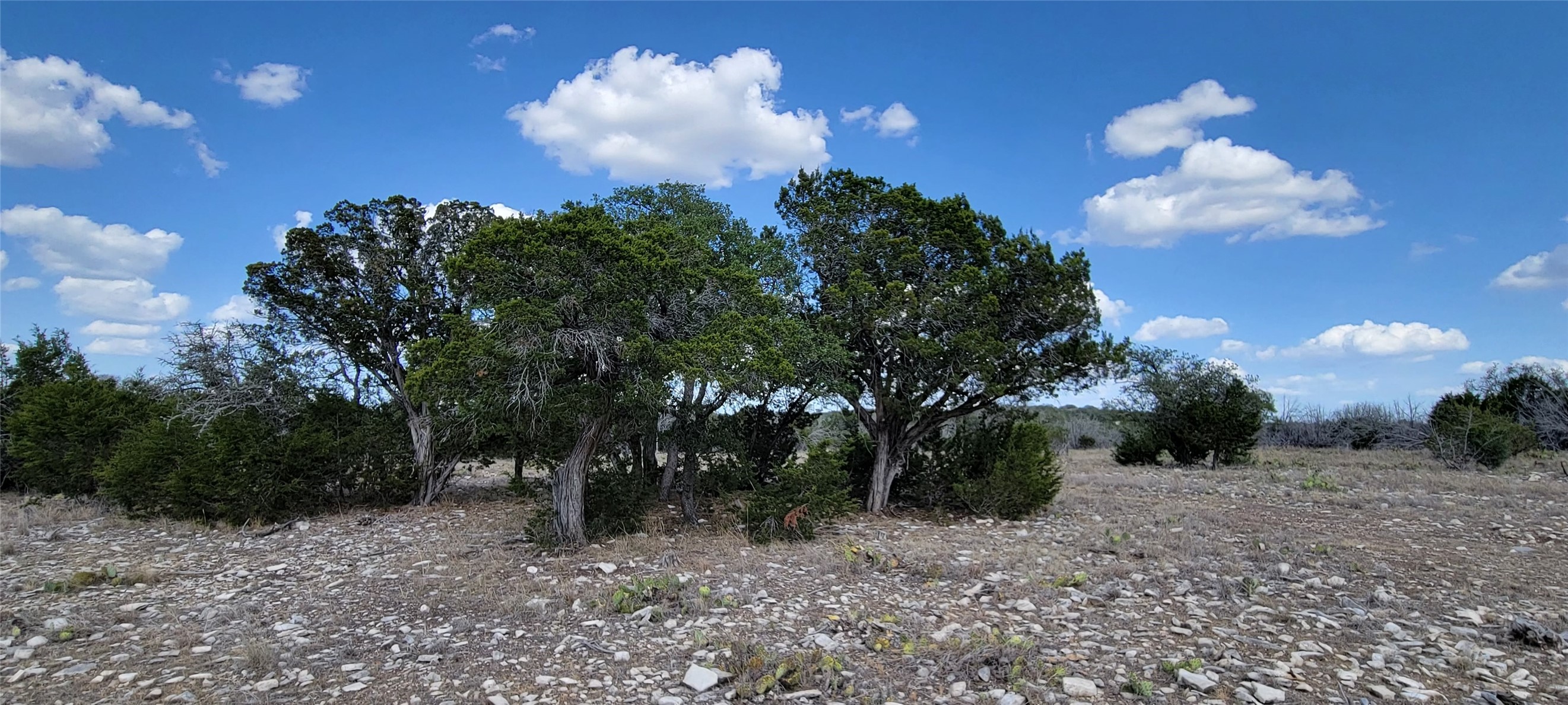 989 Cedar Ridge Road, Junction, TX, 76849 | 54009276 | Realty Texas LLC