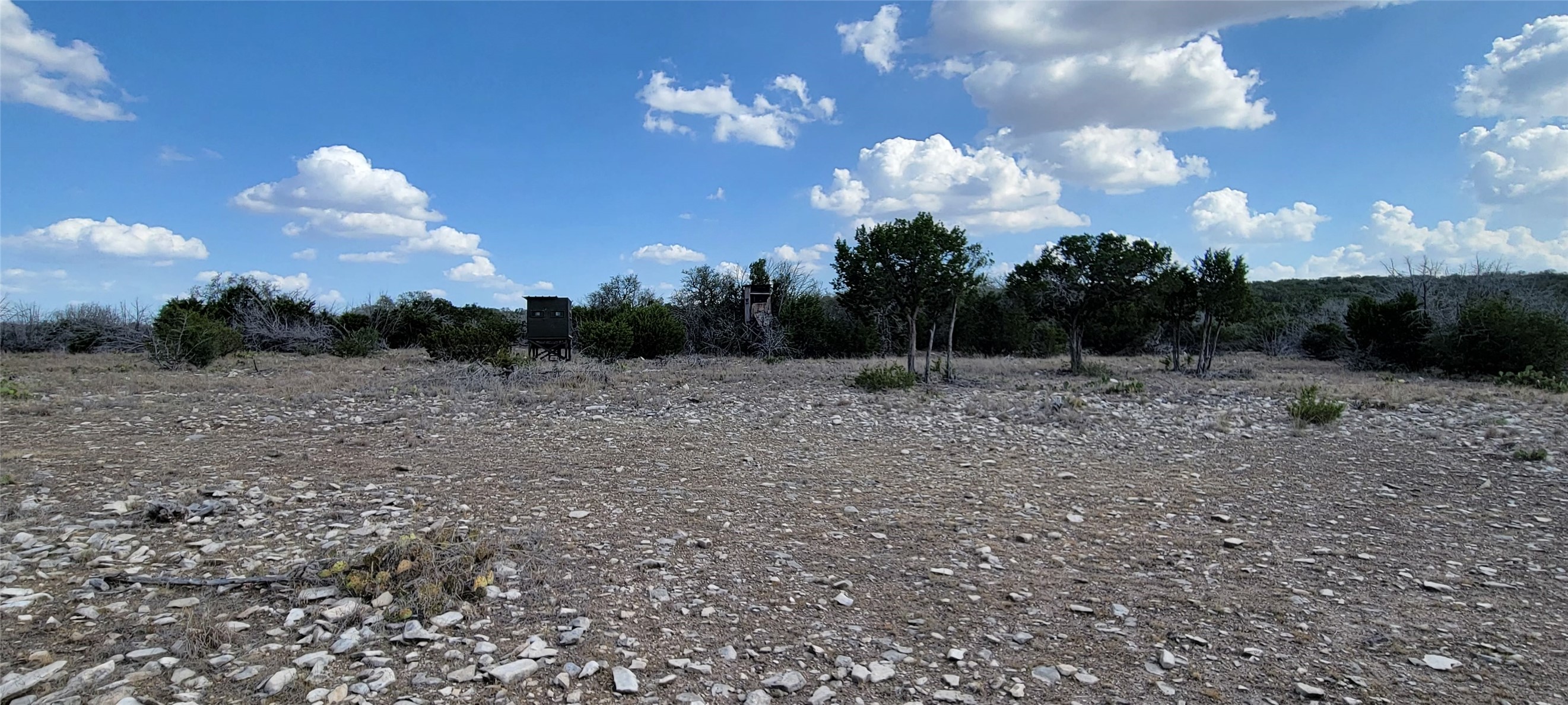 989 Cedar Ridge Road, Junction, TX, 76849 | 54009276 | Realty Texas LLC