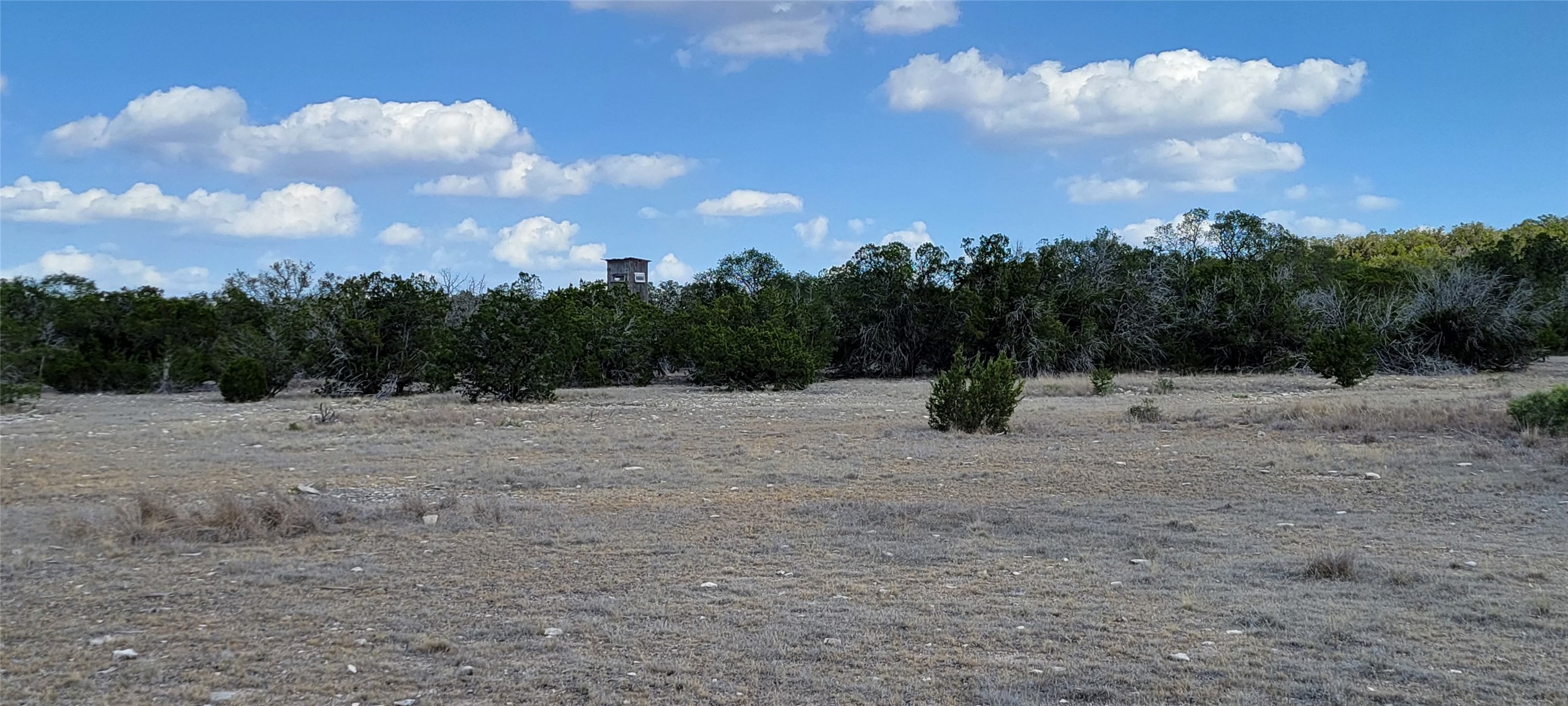 989 Cedar Ridge Road, Junction, TX, 76849 | 54009276 | Realty Texas LLC