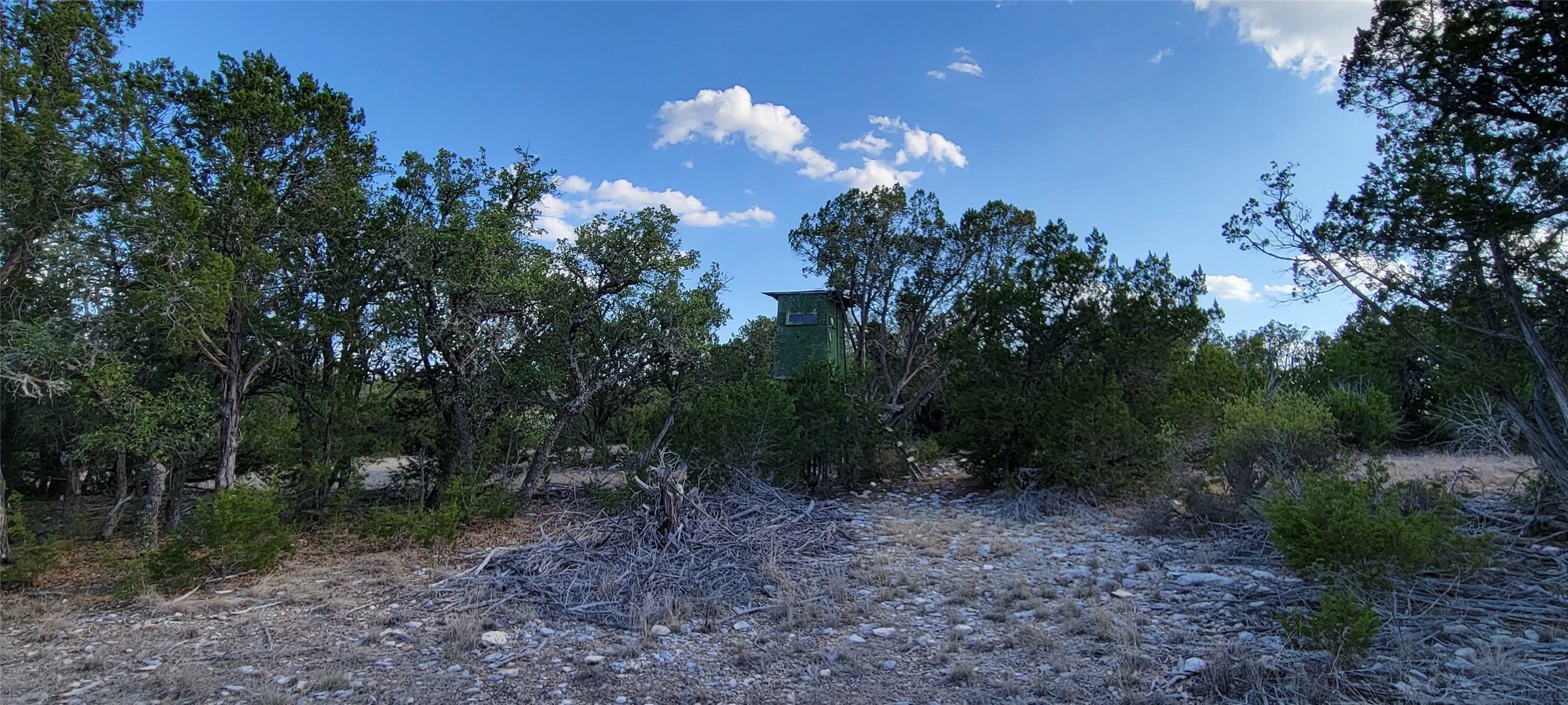 989 Cedar Ridge Road, Junction, TX, 76849 | 54009276 | Realty Texas LLC