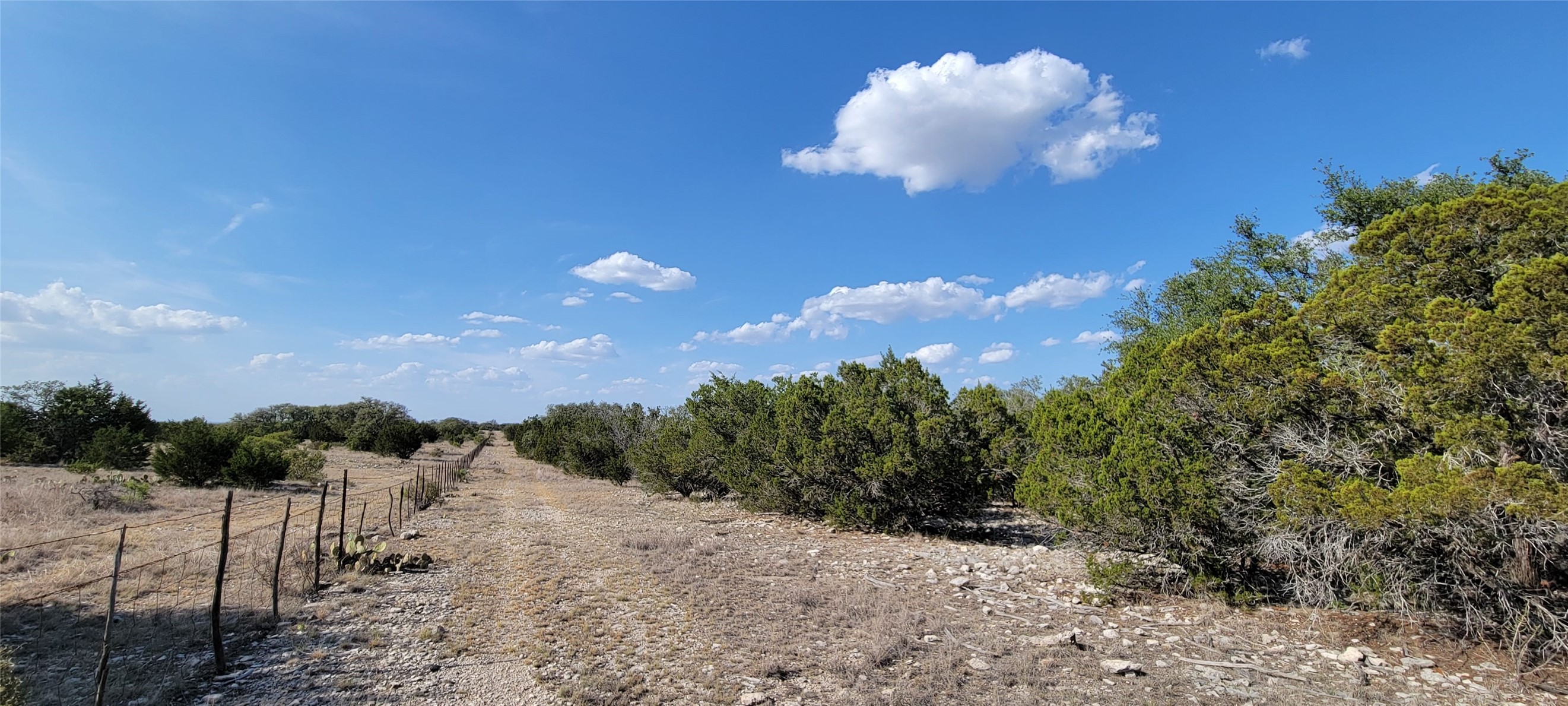 989 Cedar Ridge Road, Junction, TX, 76849 | 54009276 | Realty Texas LLC