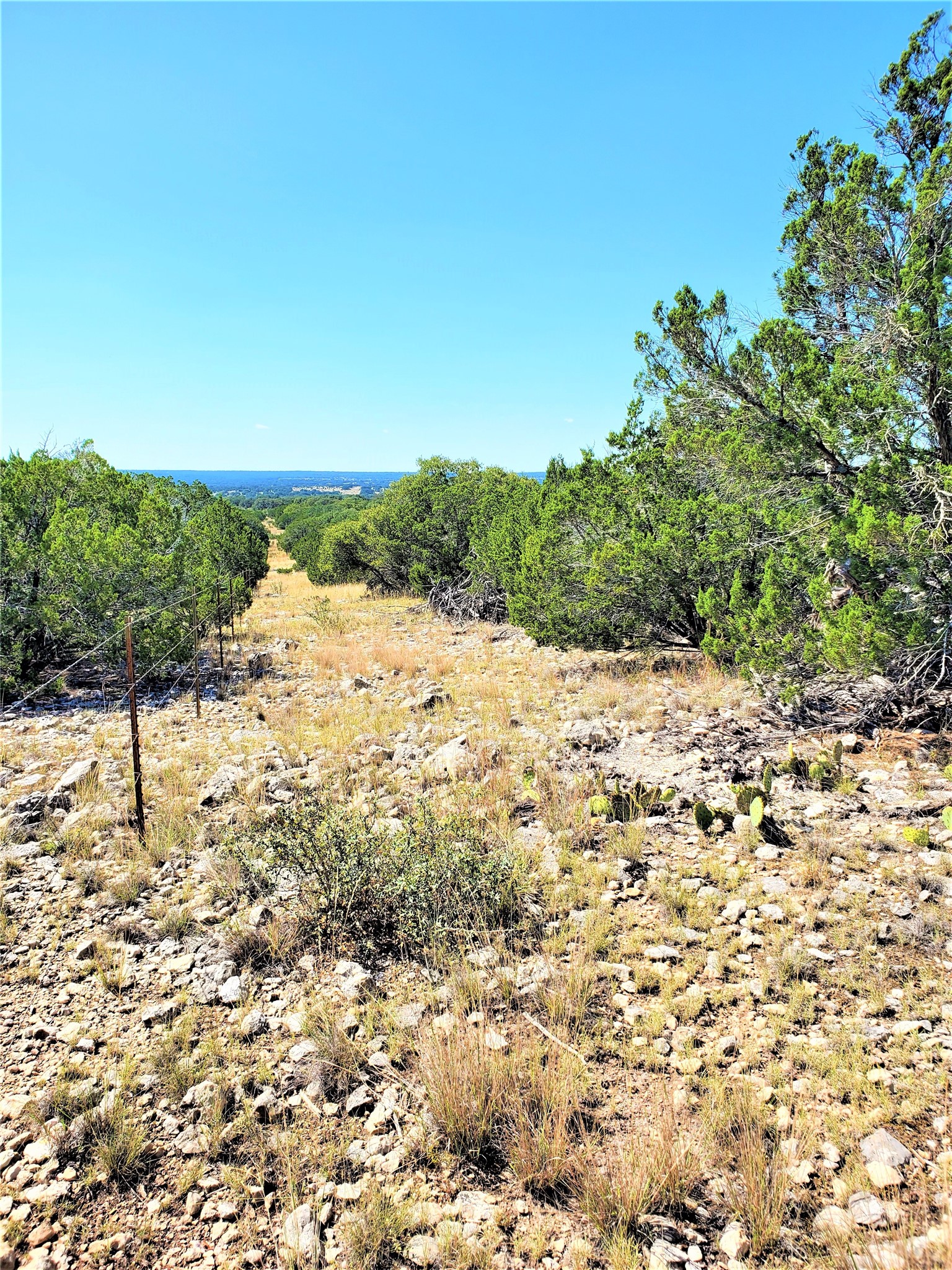 989 Cedar Ridge Road, Junction, TX, 76849 | 54009276 | Realty Texas LLC