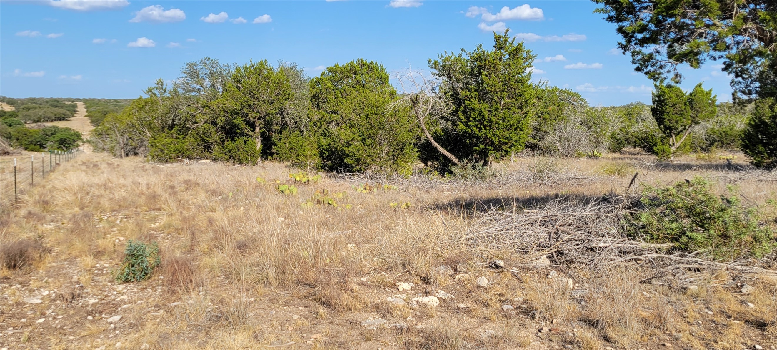 989 Cedar Ridge Road, Junction, TX, 76849 | 54009276 | Realty Texas LLC
