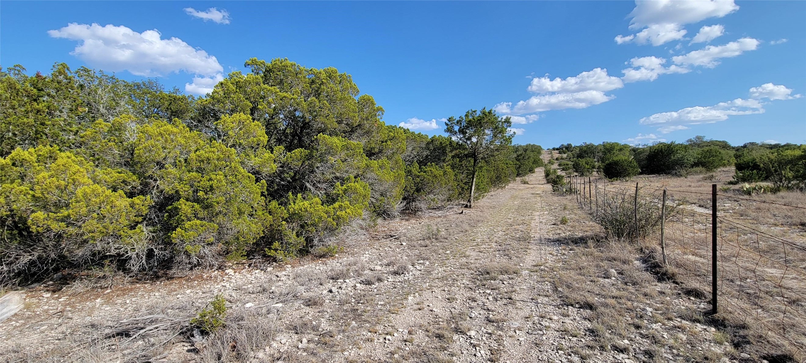 989 Cedar Ridge Road, Junction, TX, 76849 | 54009276 | Realty Texas LLC