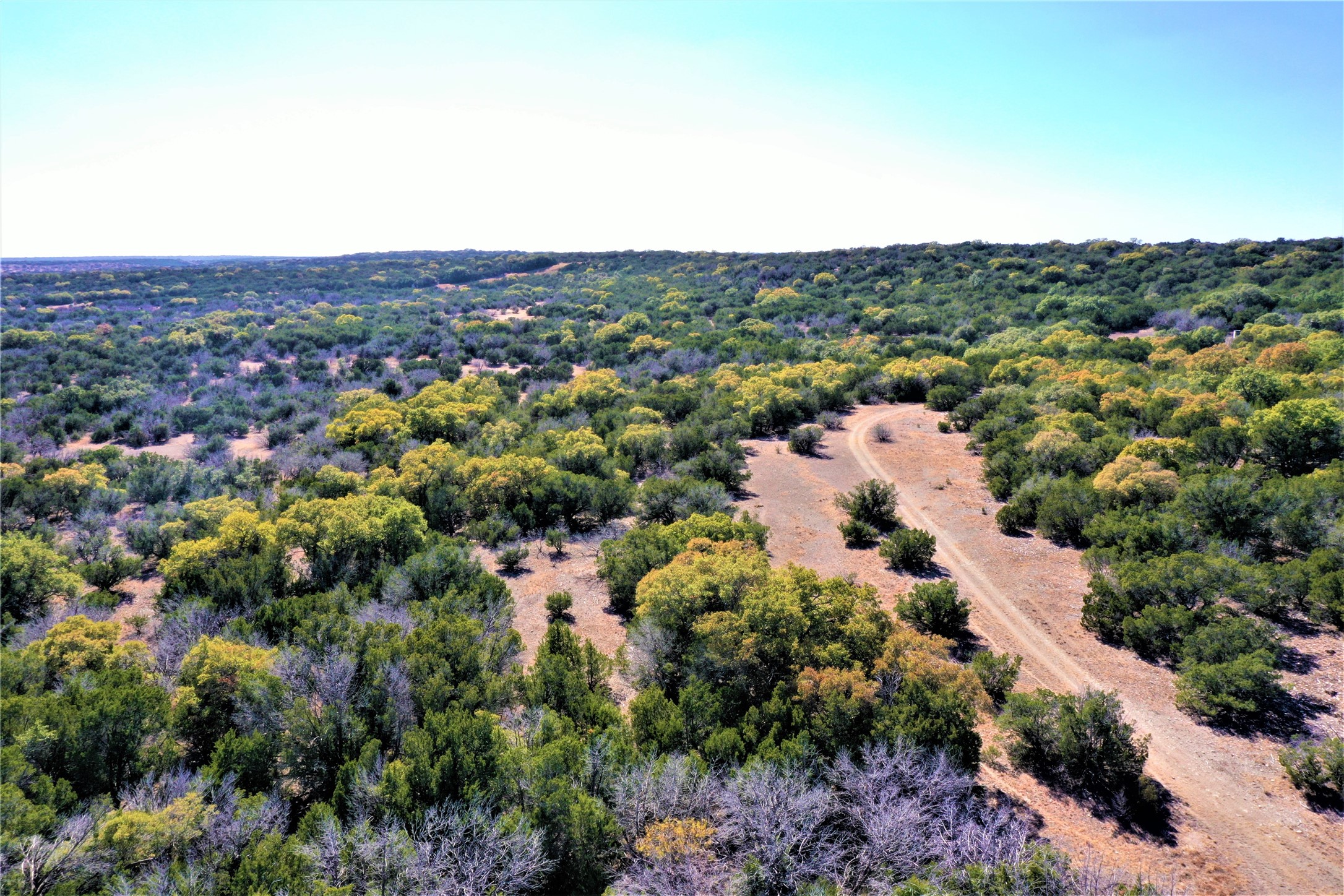 989 Cedar Ridge Road, Junction, TX, 76849 | 54009276 | Realty Texas LLC