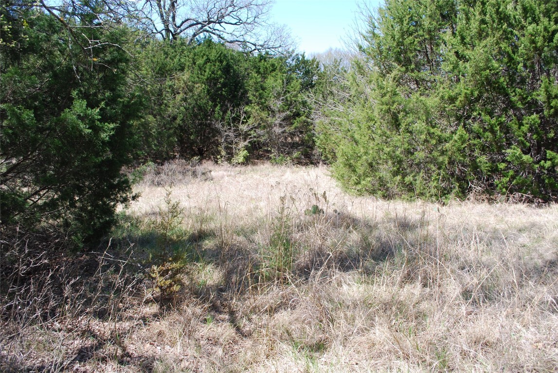 1344 Sandrock Trail , Whitney, TX, 76692 | 20040174 | Realty Texas LLC
