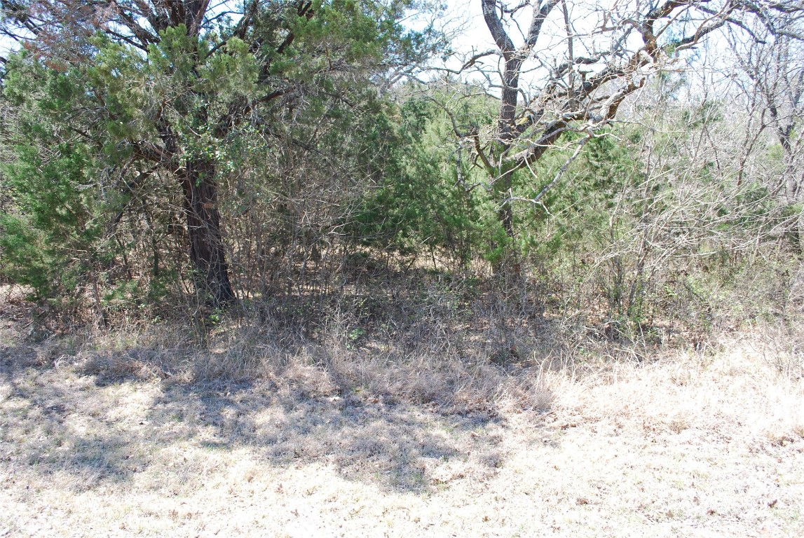 1344 Sandrock Trail , Whitney, TX, 76692 | 20040174 | Realty Texas LLC