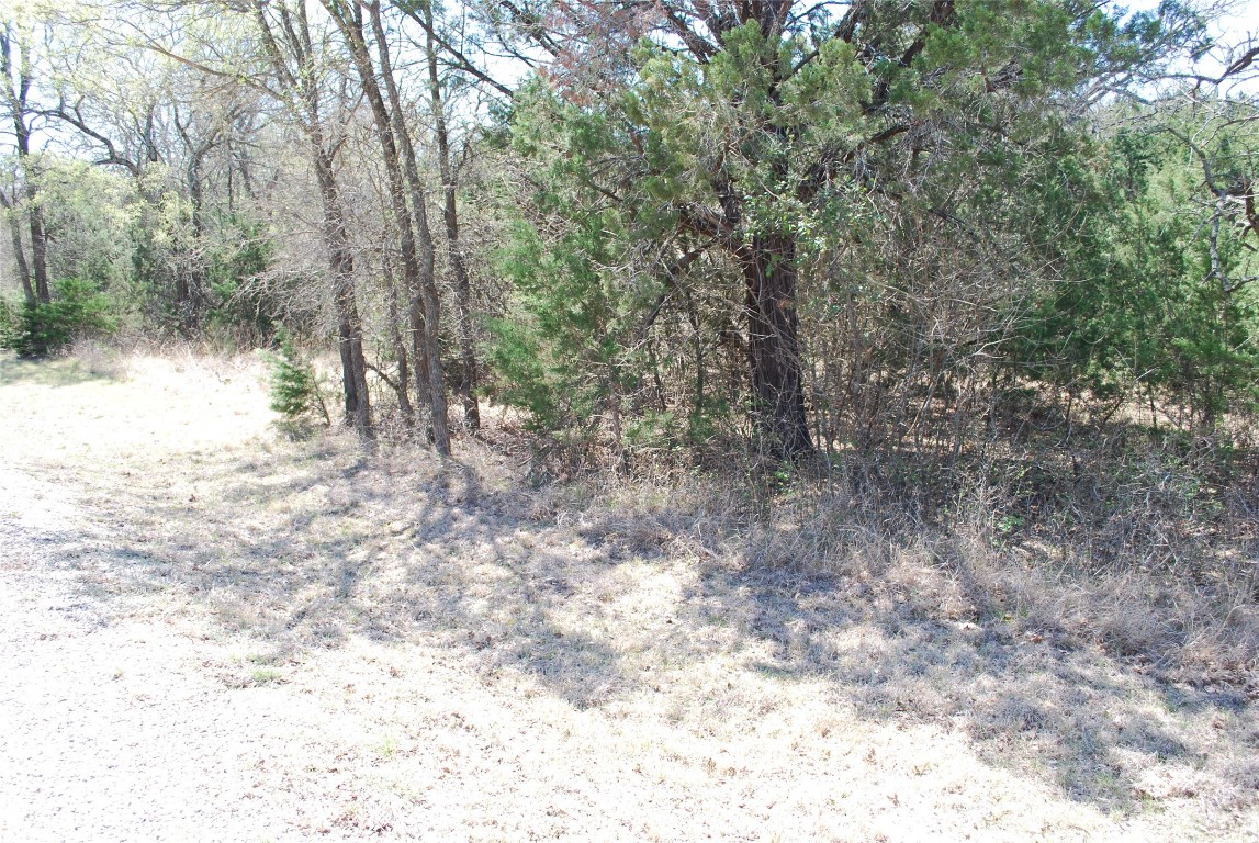 1344 Sandrock Trail , Whitney, TX, 76692 | 20040174 | Realty Texas LLC