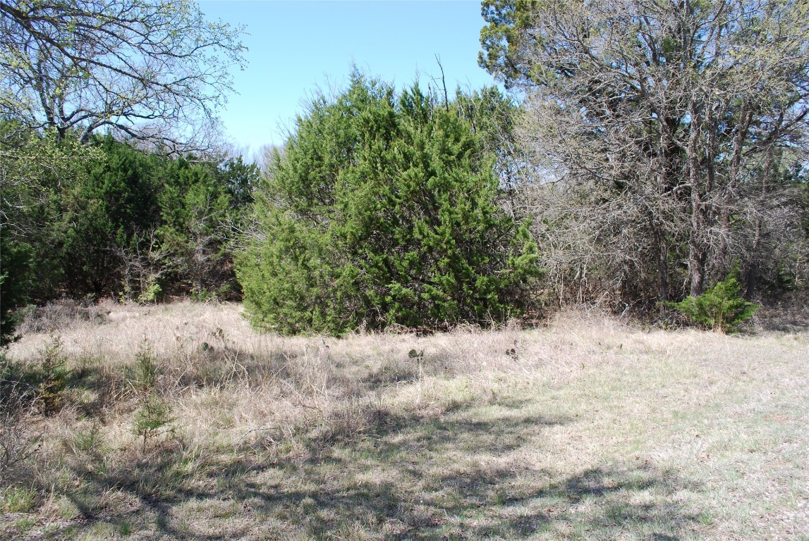 1344 Sandrock Trail , Whitney, TX, 76692 | 20040174 | Realty Texas LLC