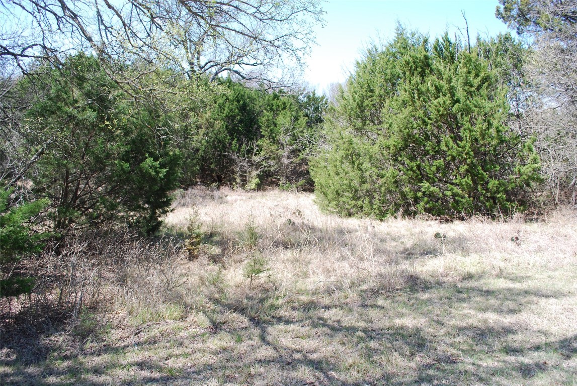 1344 Sandrock Trail , Whitney, TX, 76692 | 20040174 | Realty Texas LLC