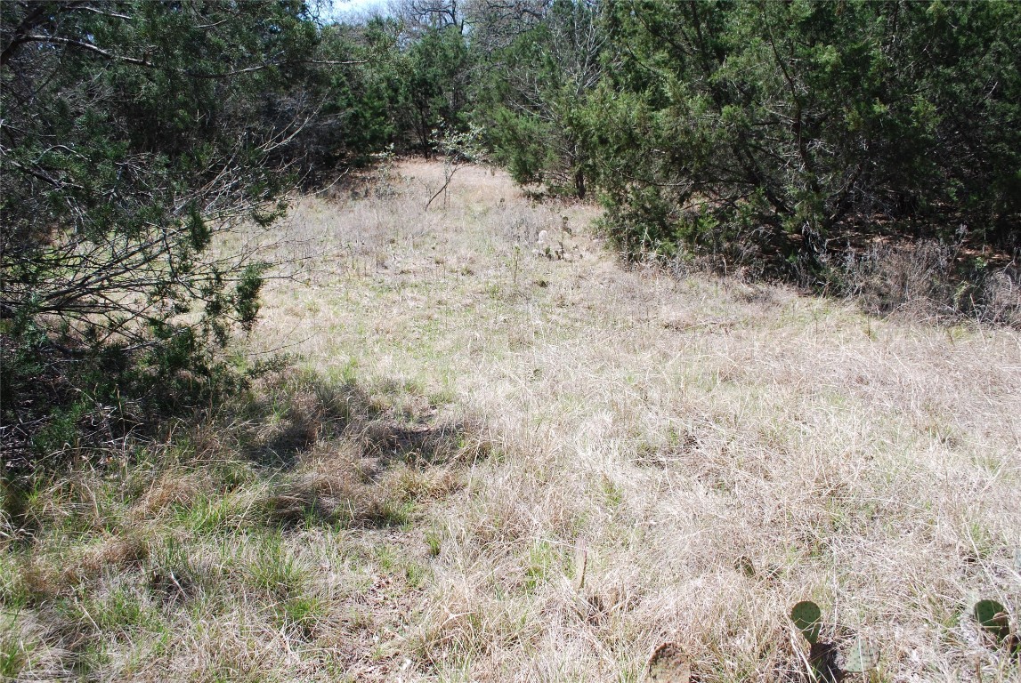 1344 Sandrock Trail , Whitney, TX, 76692 | 20040174 | Realty Texas LLC