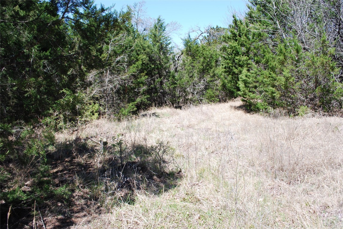1344 Sandrock Trail , Whitney, TX, 76692 | 20040174 | Realty Texas LLC