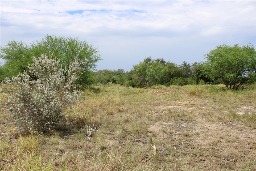 00 Lot 3 Vista Fina Dr., Sandia, TX, 78383 | 397610 | Realty Texas LLC