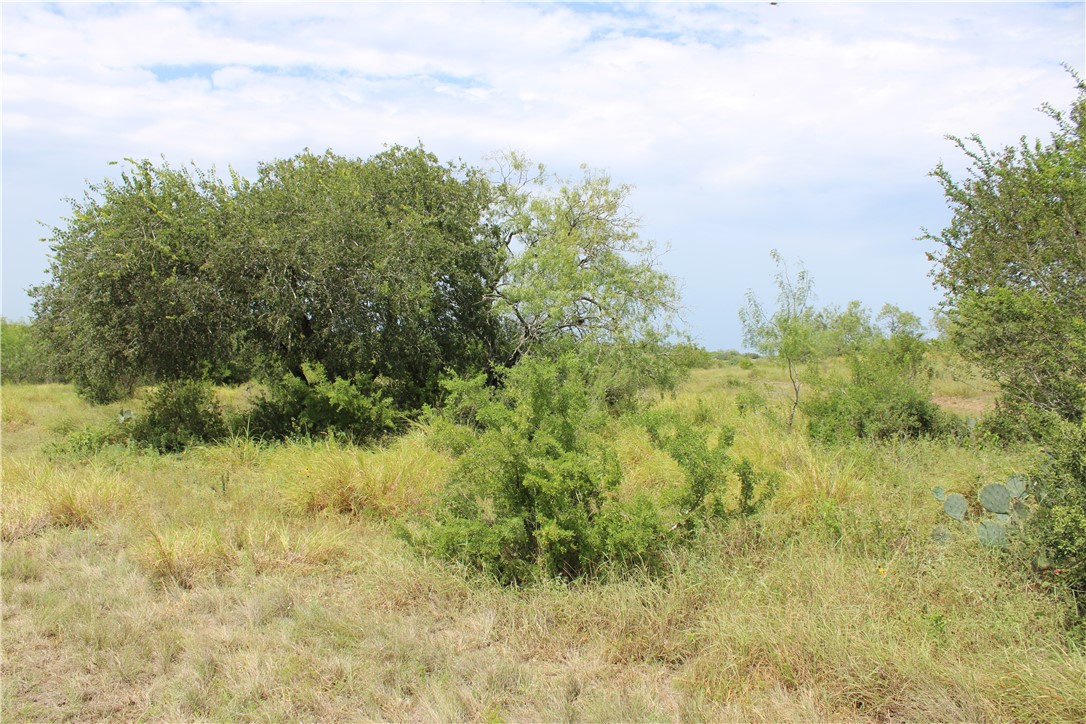 00 Lot 3 Vista Fina Dr., Sandia, TX, 78383 | 397610 | Realty Texas LLC