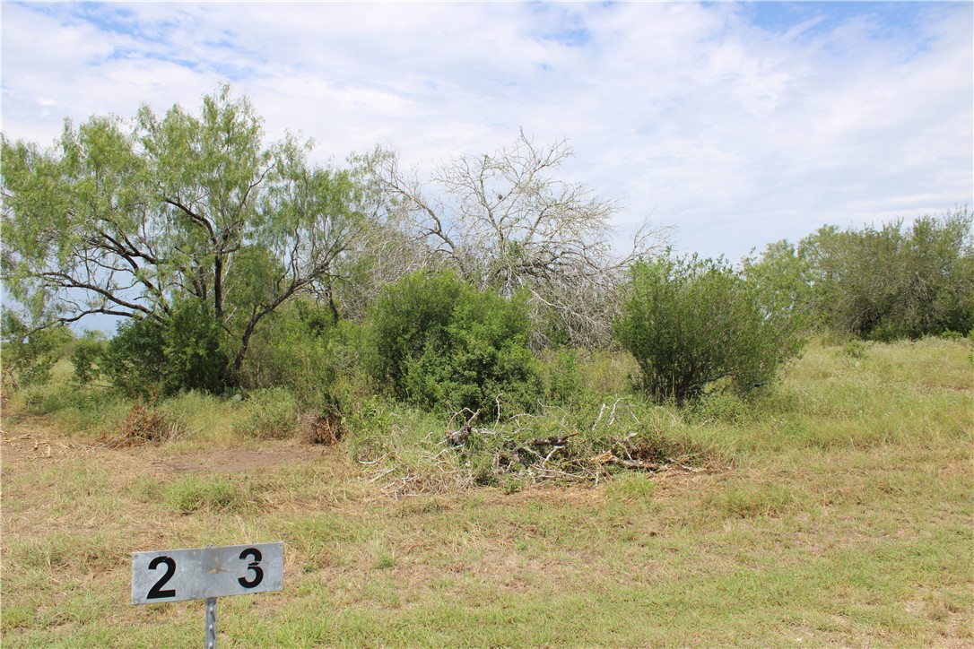 00 Lot 3 Vista Fina Dr., Sandia, TX, 78383 | 397610 | Realty Texas LLC