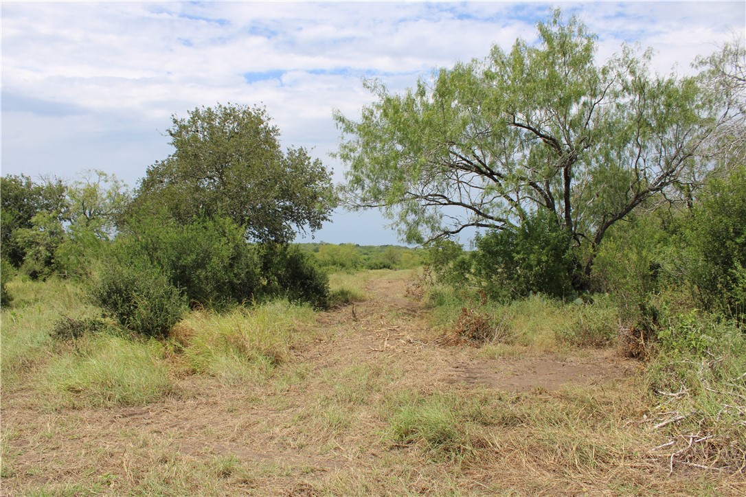 00 Lot 3 Vista Fina Dr., Sandia, TX, 78383 | 397610 | Realty Texas LLC