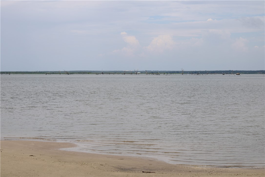 00 Lot 5 Vista Fina Dr., Sandia, TX, 78383 | 398634 | Realty Texas LLC