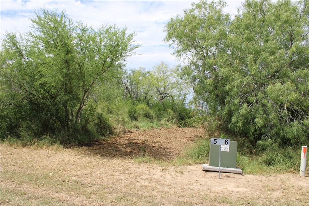 00 Lot 5 Vista Fina Dr., Sandia, TX, 78383 | 398634 | Realty Texas LLC