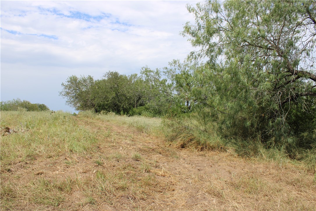 00 Lot 5 Vista Fina Dr., Sandia, TX, 78383 | 398634 | Realty Texas LLC