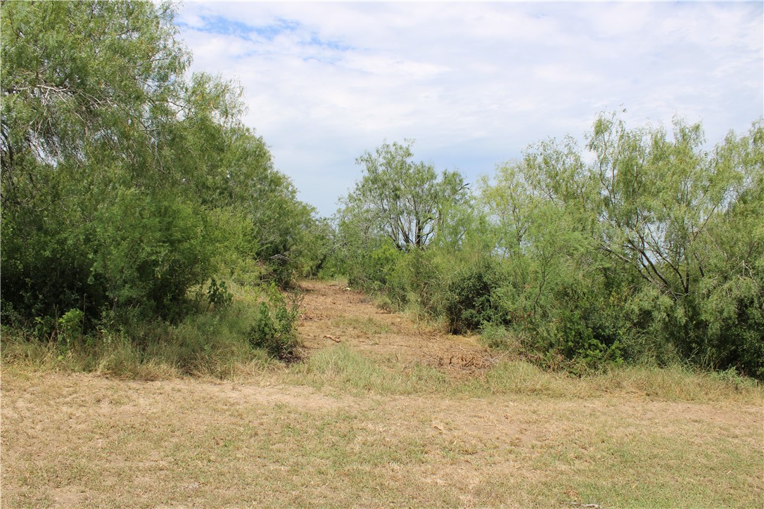 00 Lot 5 Vista Fina Dr., Sandia, TX, 78383 | 398634 | Realty Texas LLC