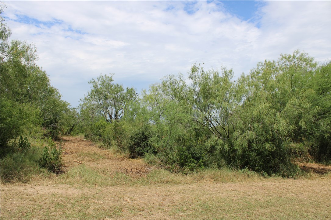 00 Lot 5 Vista Fina Dr., Sandia, TX, 78383 | 398634 | Realty Texas LLC
