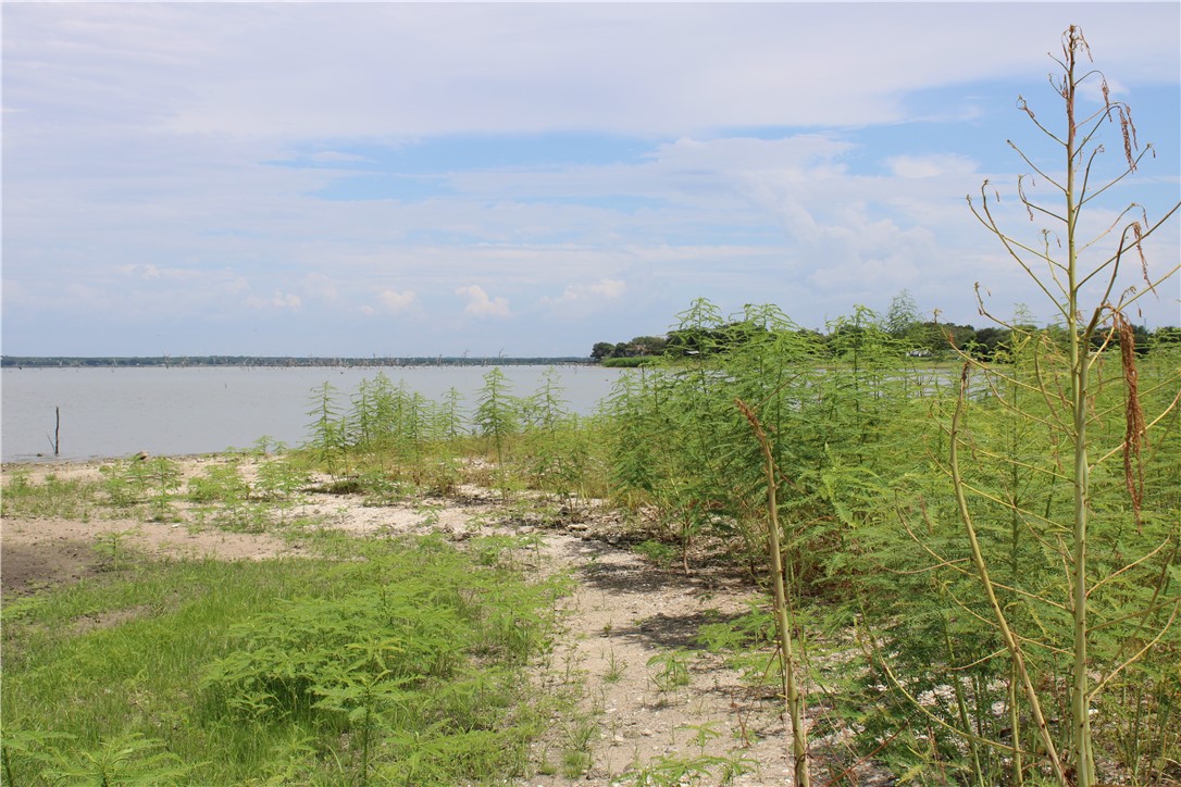 00 Lot 6 Vista Fina Dr., Sandia, TX, 78383 | 398635 | Realty Texas LLC