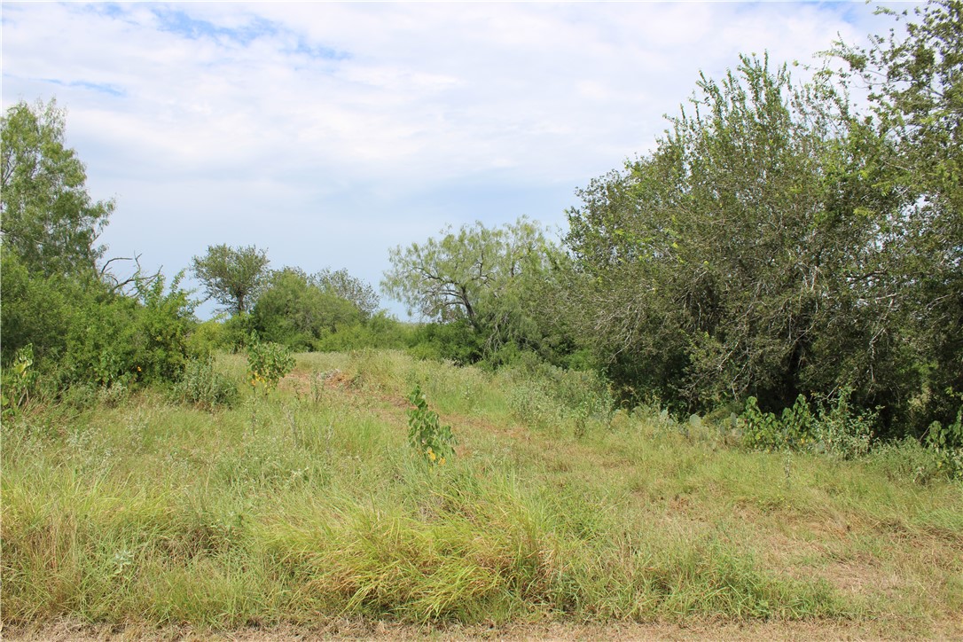 00 Lot 6 Vista Fina Dr., Sandia, TX, 78383 | 398635 | Realty Texas LLC