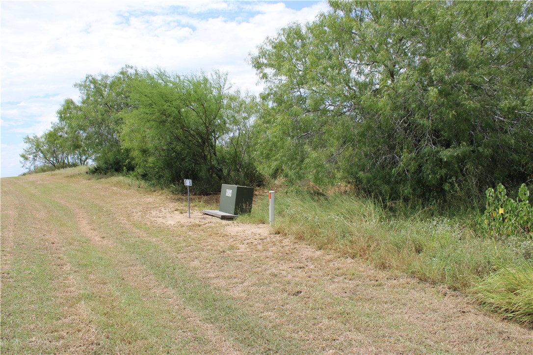 00 Lot 6 Vista Fina Dr., Sandia, TX, 78383 | 398635 | Realty Texas LLC