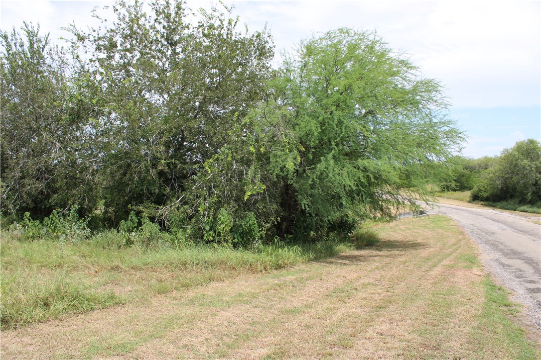 00 Lot 6 Vista Fina Dr., Sandia, TX, 78383 | 398635 | Realty Texas LLC