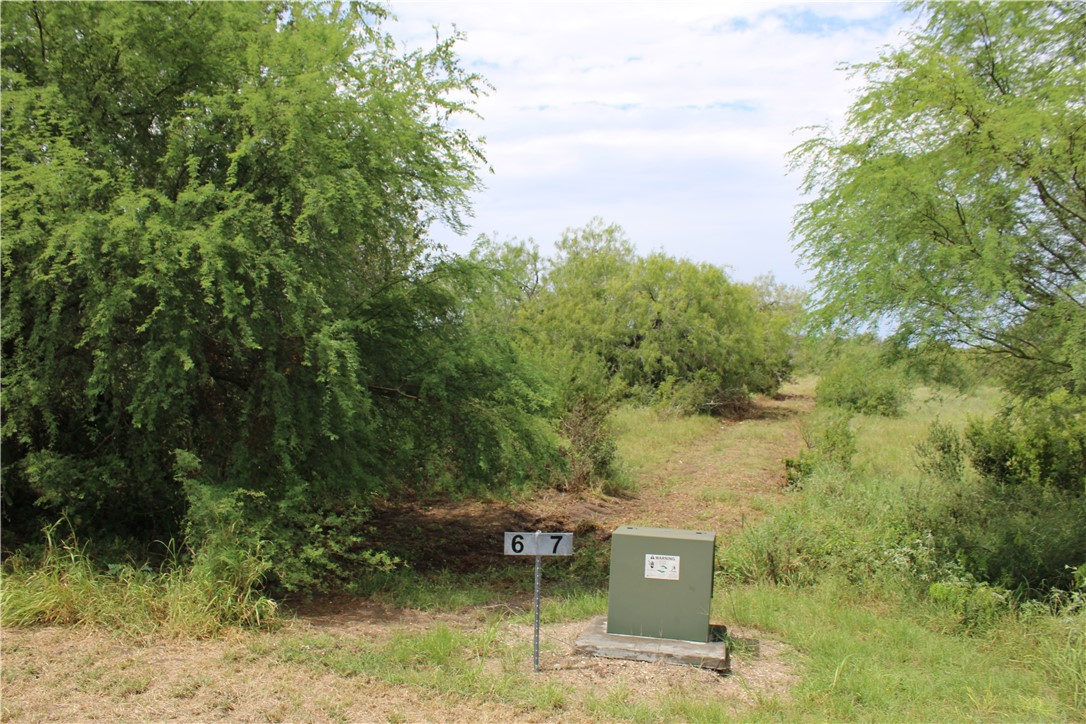 00 Lot 6 Vista Fina Dr., Sandia, TX, 78383 | 398635 | Realty Texas LLC