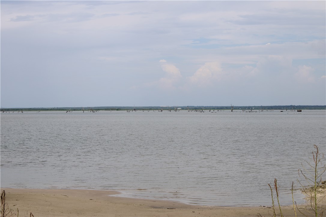 0 Lot 9 Vista Fina Dr., Sandia, TX, 78383 | 398653 | Realty Texas LLC
