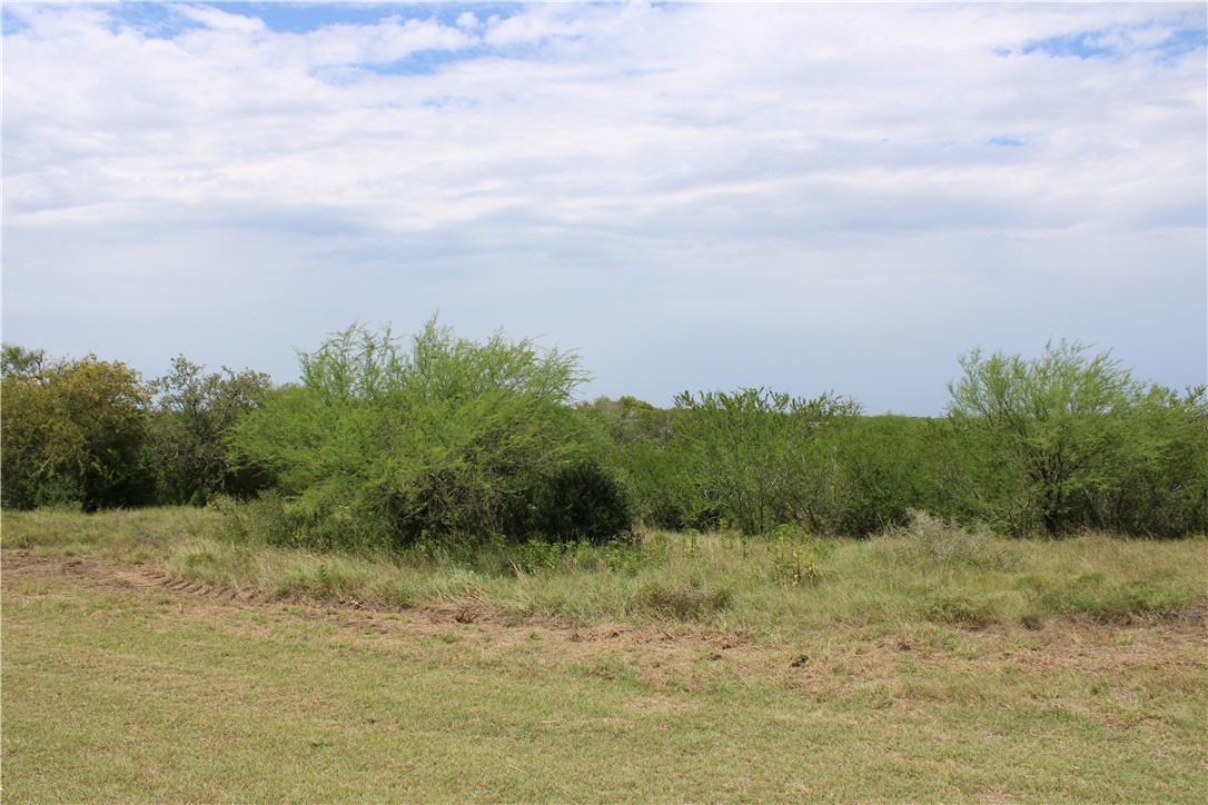 0 Lot 9 Vista Fina Dr., Sandia, TX, 78383 | 398653 | Realty Texas LLC