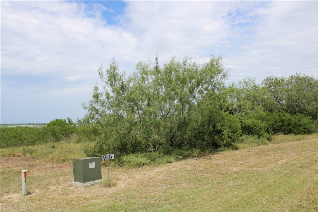 0 Lot 9 Vista Fina Dr., Sandia, TX, 78383 | 398653 | Realty Texas LLC