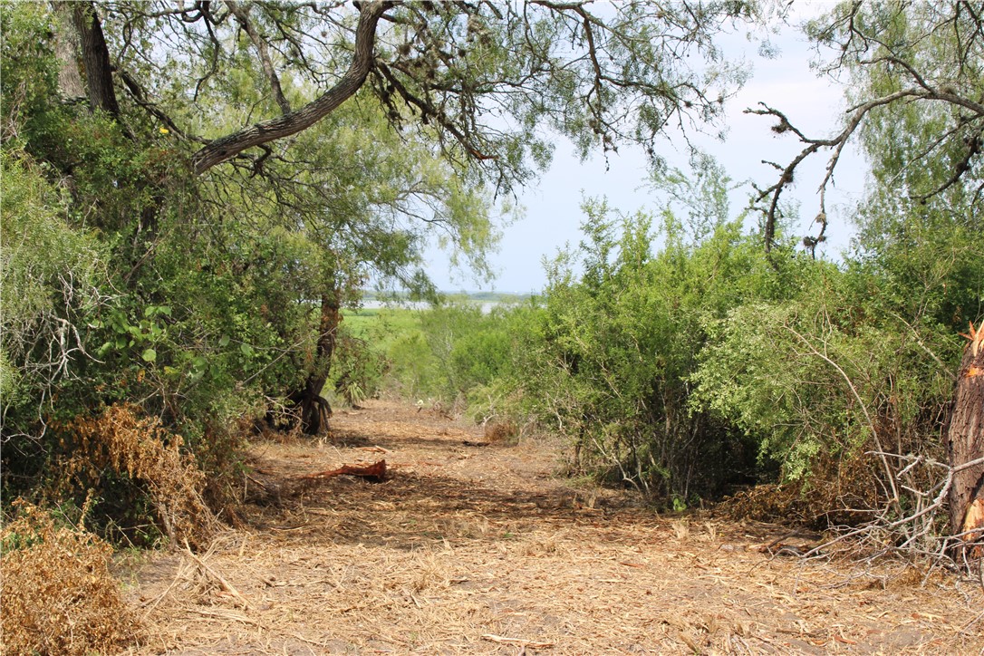 0 Lot 9 Vista Fina Dr., Sandia, TX, 78383 | 398653 | Realty Texas LLC