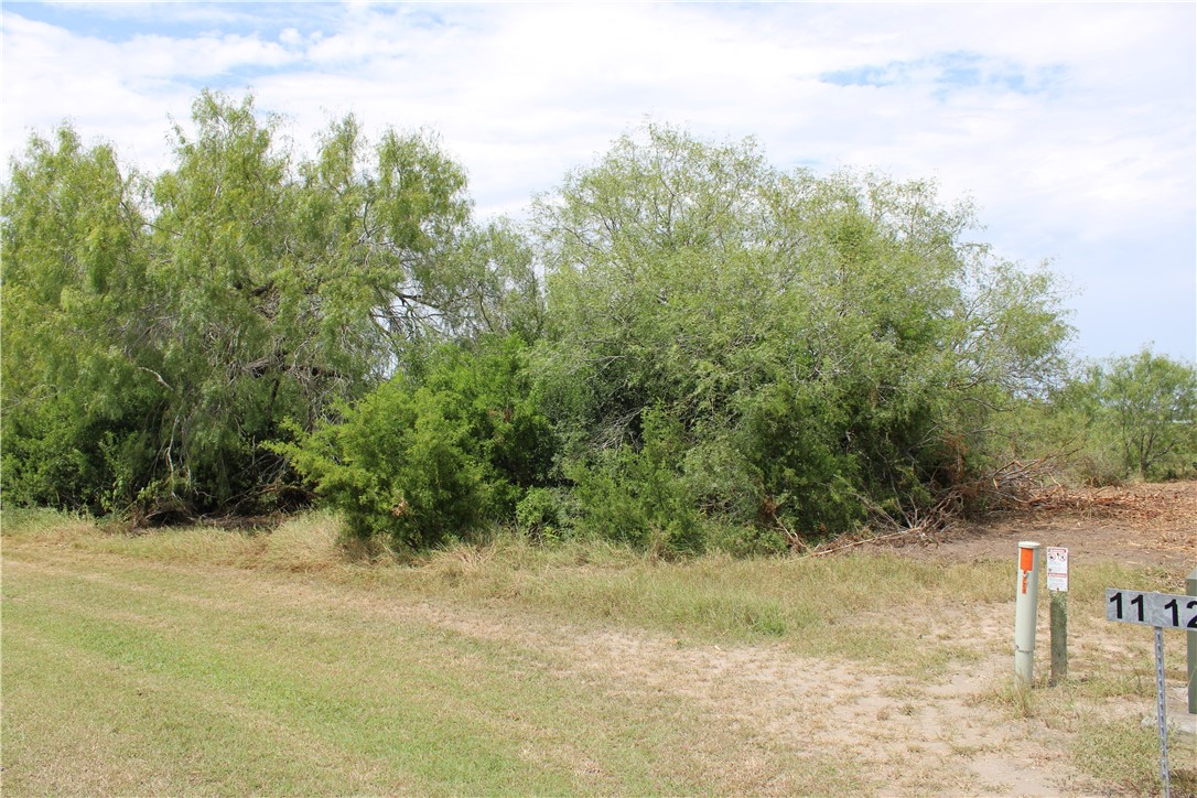 0 Lot 9 Vista Fina Dr., Sandia, TX, 78383 | 398653 | Realty Texas LLC