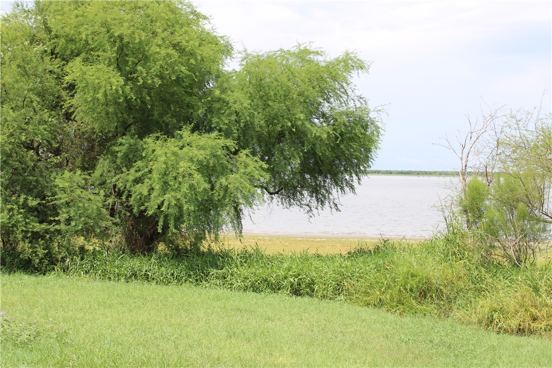 0 Lot 9 Vista Fina Dr., Sandia, TX, 78383 | 398653 | Realty Texas LLC